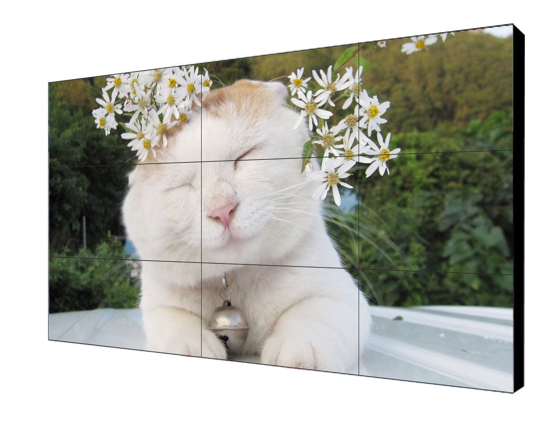 1573811783808458.jpg 15.jpg