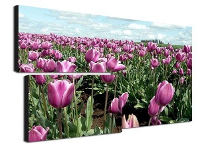 1649382866914737.jpg 9f0892371c644b1e871812b2fca3e676_2.jpg