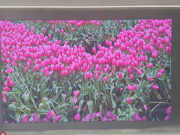 1698825518268477.jpg 水2.jpg